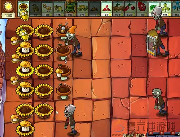 植物大战僵尸杂交版汉堡王2通关攻略