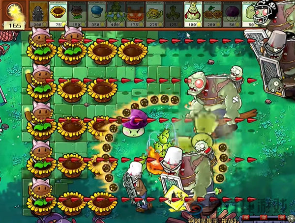植物大战僵尸杂交版钢刺坚果王3通关攻略