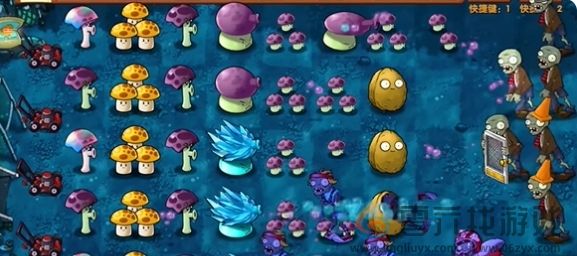 《植物大战僵尸融合版》冒险模式第11关通关攻略(图5)