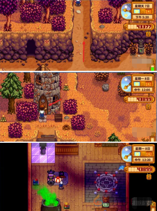 星露谷物语黑暗试剂任务攻略(图4) 星露谷物语黑暗试剂任务攻略(图4)