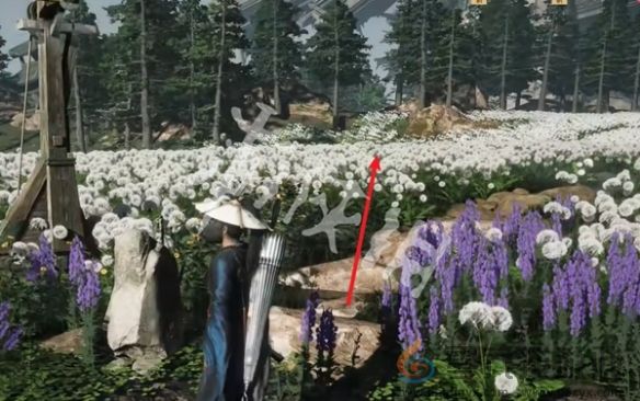 燕云十六声卧星岩猫戏全收集攻略(图3)